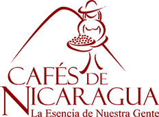Cafés de Nicaragua